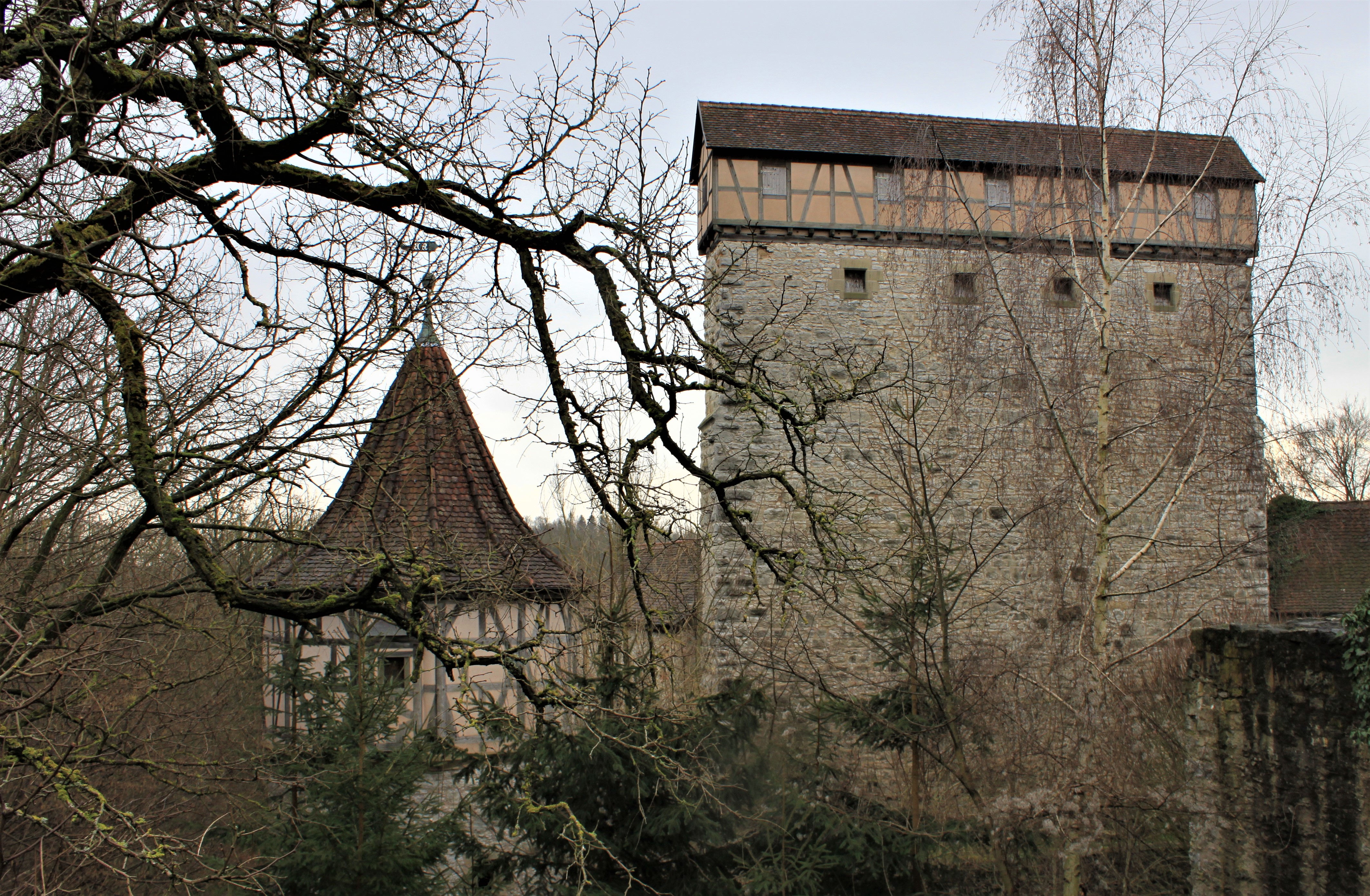Schloss Amlishagen Schildmauer-mit-Rundturm 1 (3).jpg